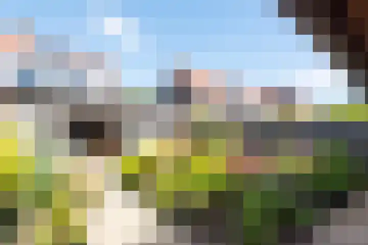 De Omloop 12 Nieuwe Niedorp thumbnail 49