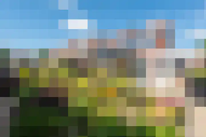 De Omloop 12 Nieuwe Niedorp thumbnail 50