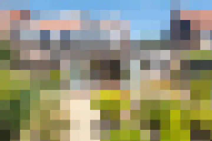 De Omloop 12 Nieuwe Niedorp thumbnail 52