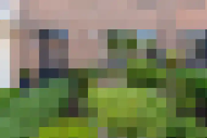 De Omloop 12 Nieuwe Niedorp thumbnail 6