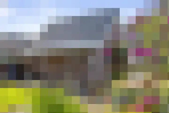 De Omloop 15 Klazienaveen thumbnail 33