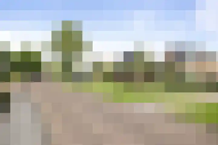 De Omloop 15 Klazienaveen thumbnail 45