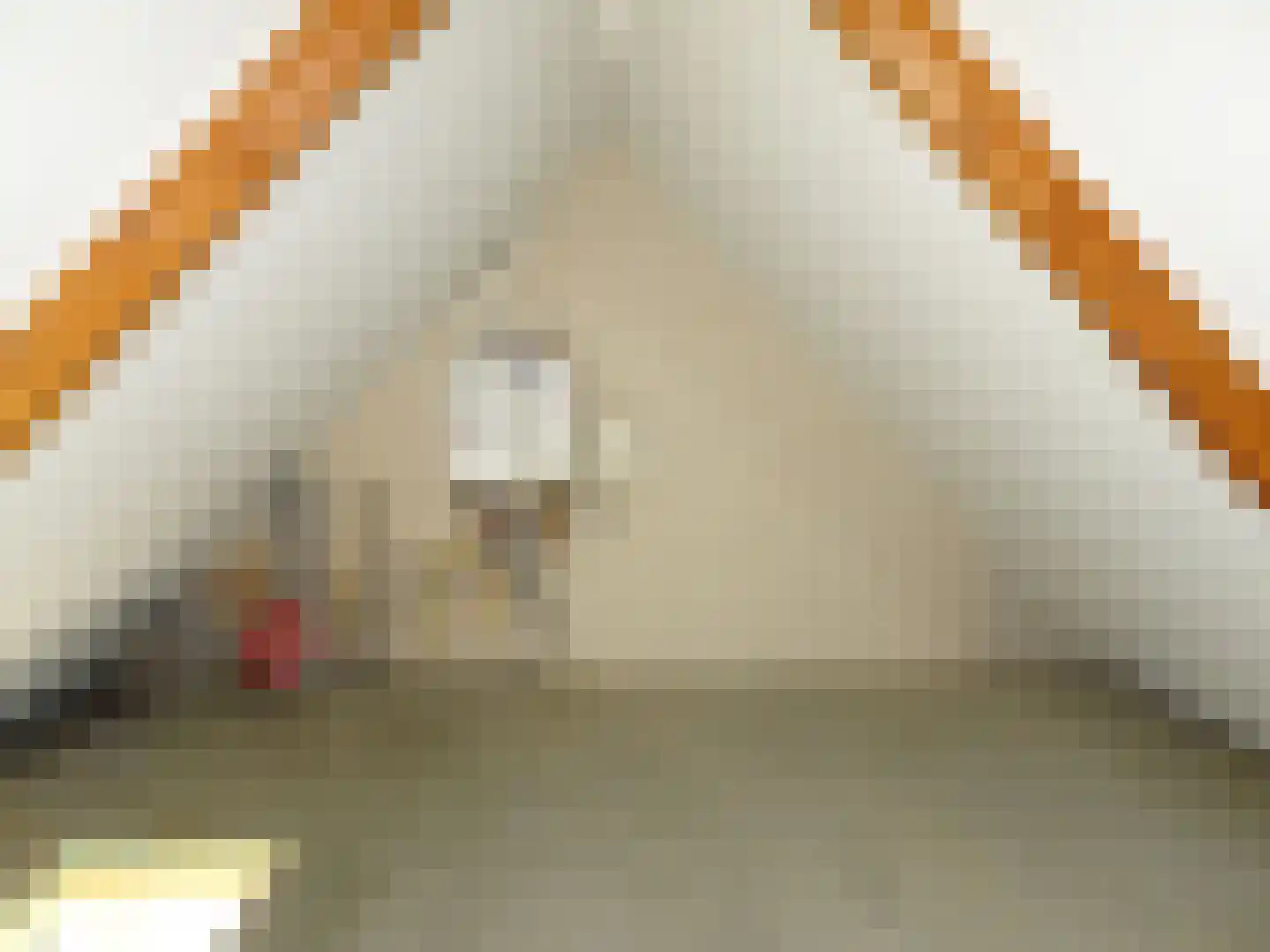 De Omloop 15 Nieuwe Niedorp thumbnail 17