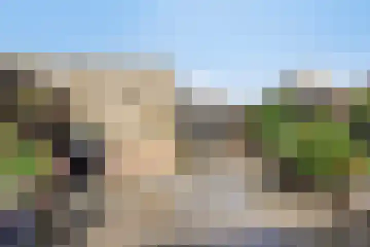 De Omloop 16 Scherpenzeel thumbnail 22