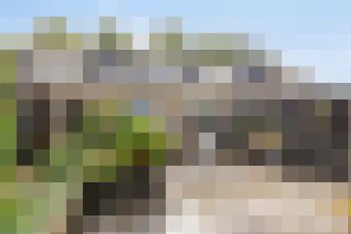 De Omloop 16 Scherpenzeel thumbnail 24