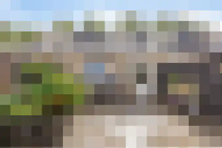 De Omloop 16 Scherpenzeel thumbnail 25