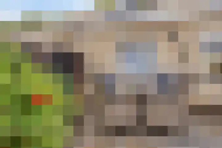 De Omloop 16 Scherpenzeel thumbnail 26