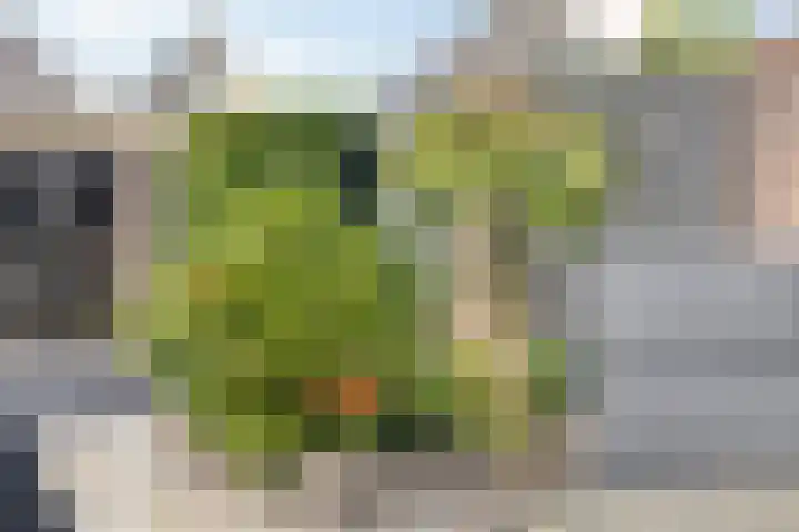 De Omloop 16 Scherpenzeel thumbnail 27