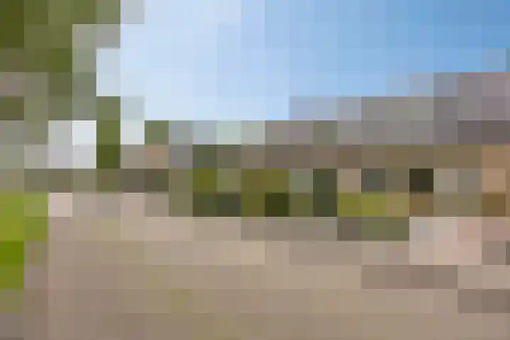 De Omloop 16 Scherpenzeel thumbnail 29