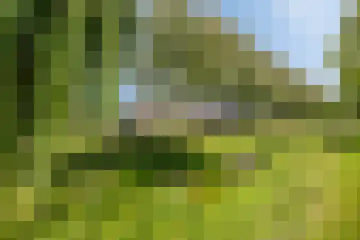 De Omloop 16 Scherpenzeel thumbnail 30