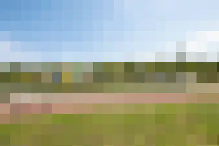 De Omloop 16 Scherpenzeel thumbnail 31