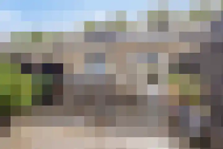 De Omloop 16 Scherpenzeel thumbnail 4