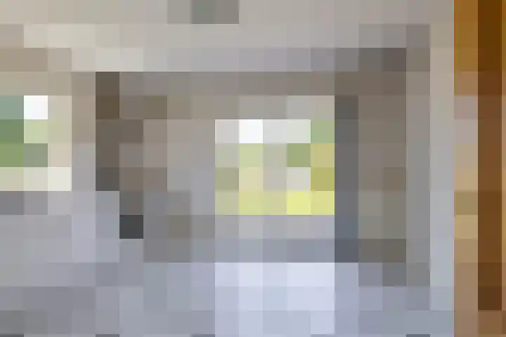 De Omloop 2 Adorp thumbnail 24