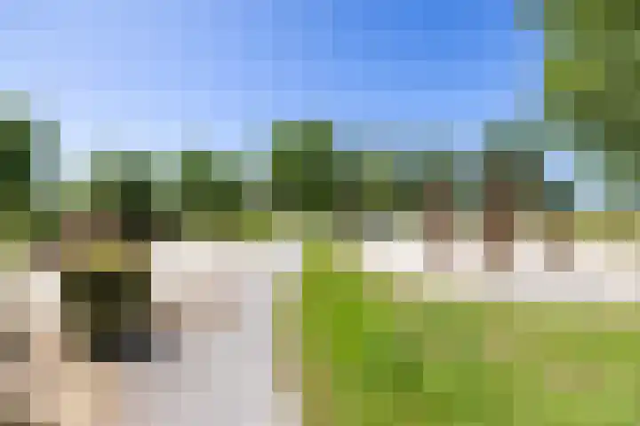 De Omloop 2 Adorp thumbnail 44
