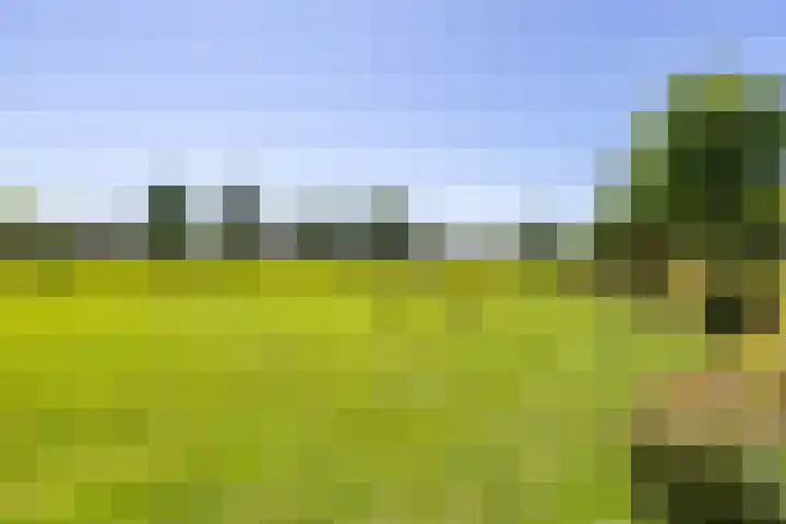 De Omloop 2 Adorp thumbnail 47