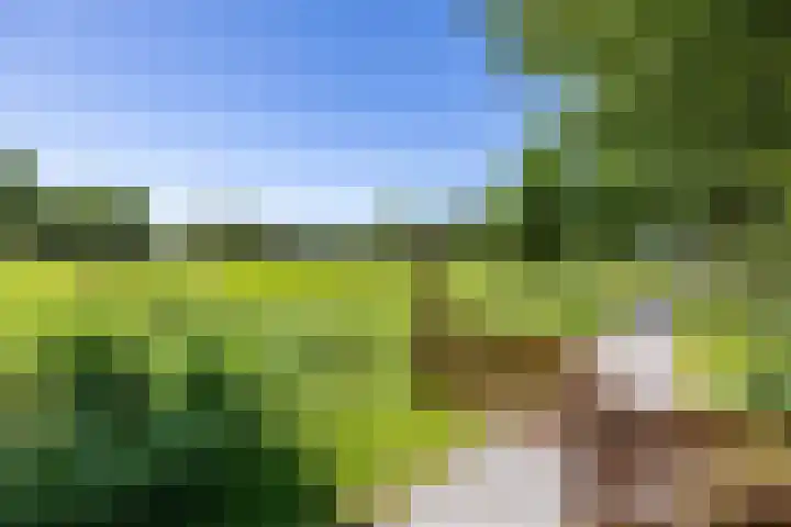 De Omloop 2 Adorp thumbnail 48