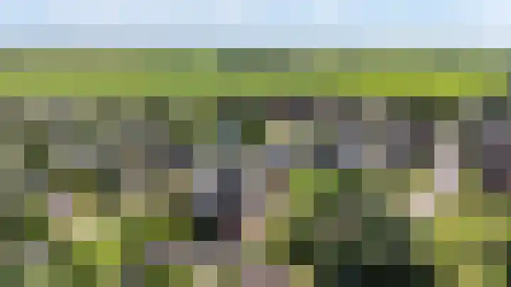 De Omloop 2 Adorp thumbnail 5