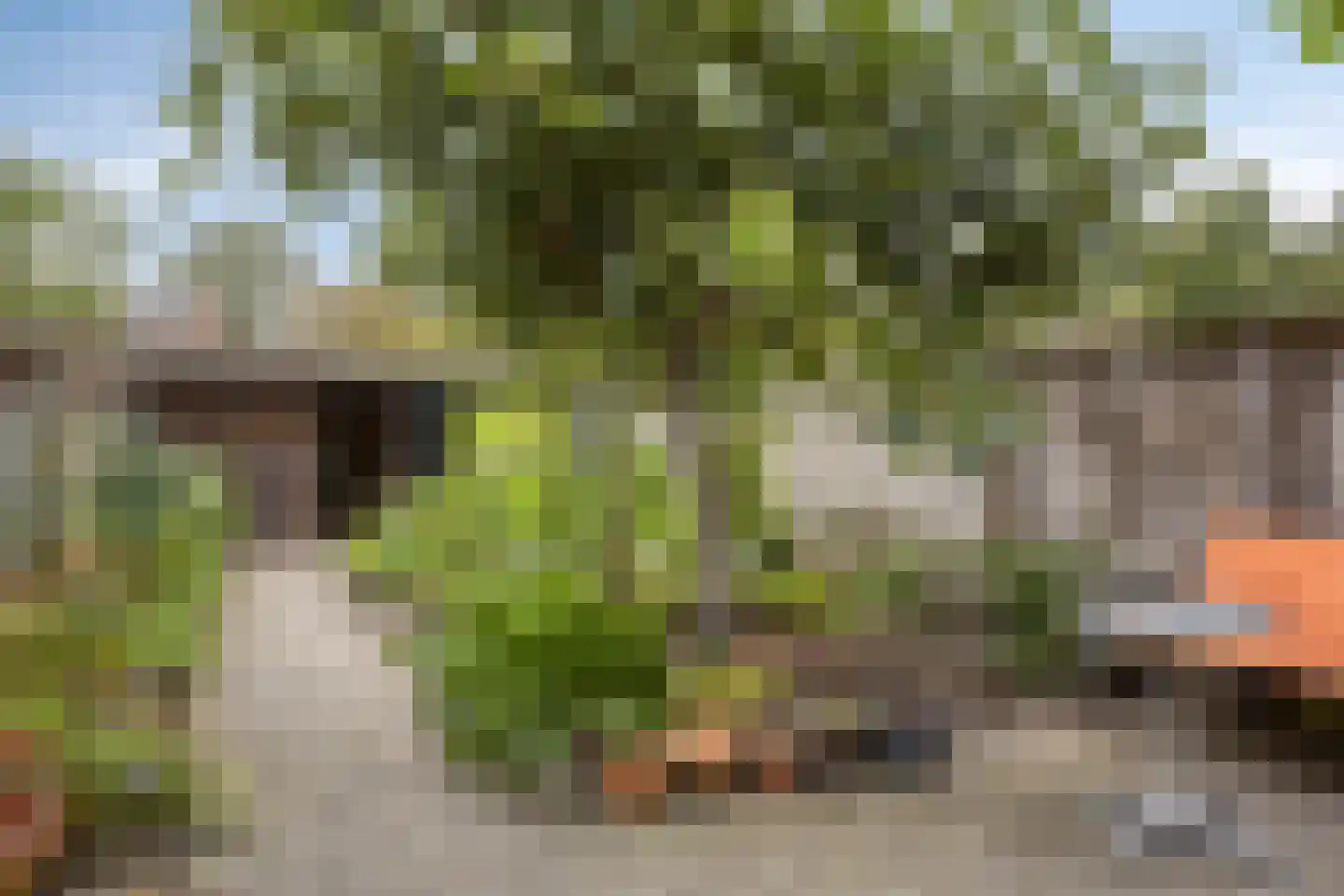 De Omloop 22 Koedijk thumbnail 15