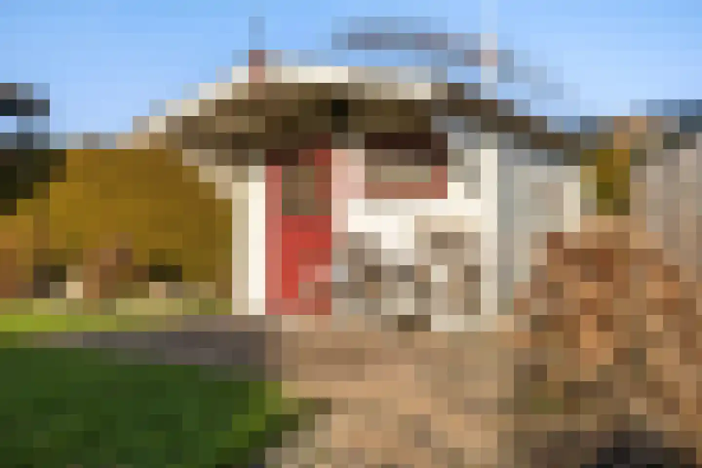 De Omloop 23 Klazienaveen thumbnail 36