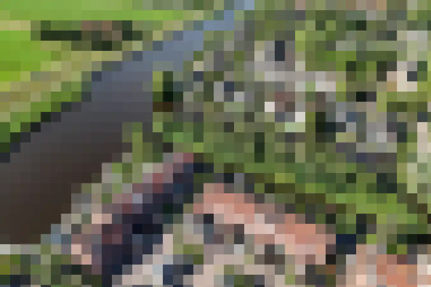 De Omloop 24 Assendelft thumbnail 35
