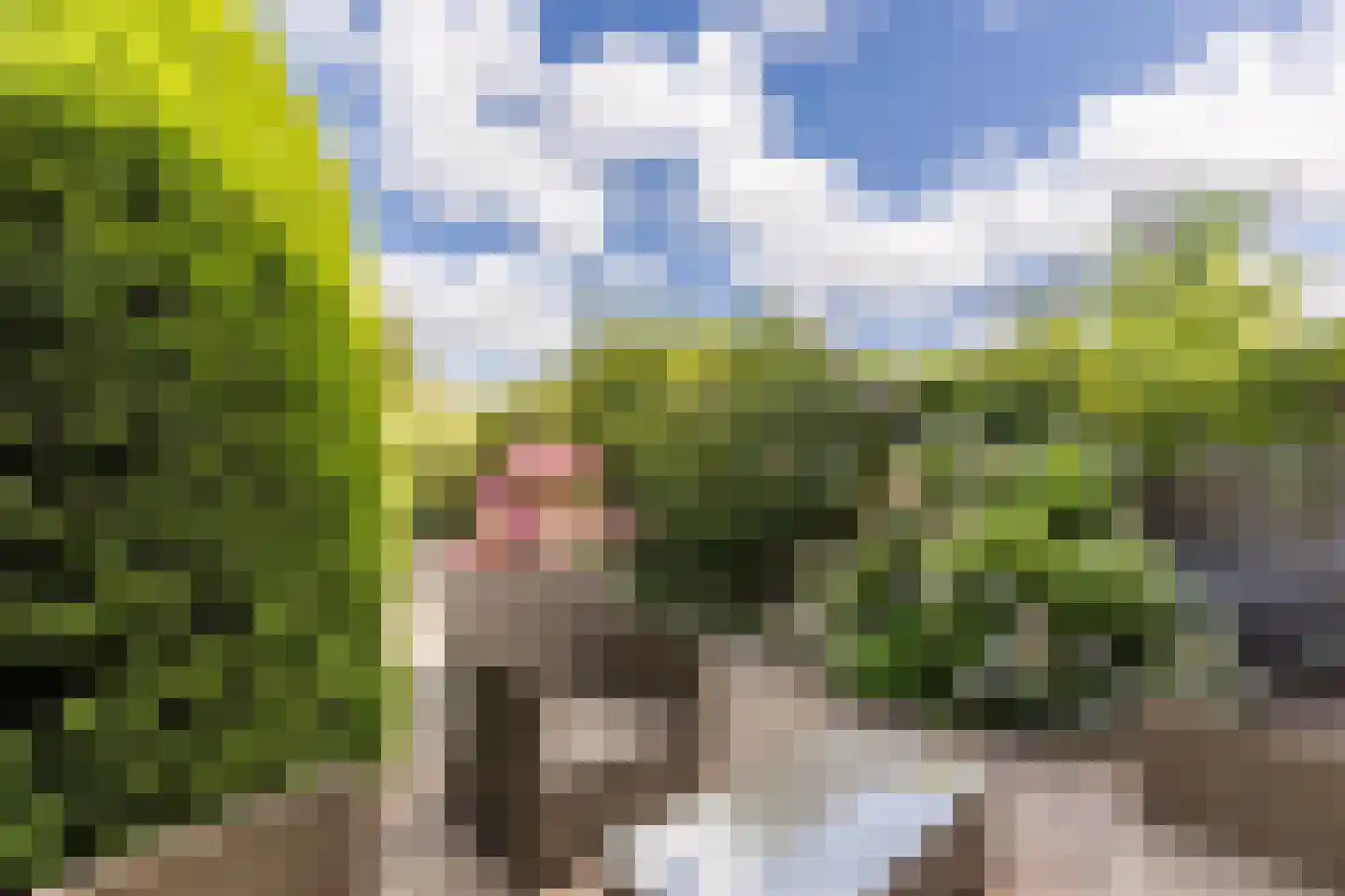 De Omloop 25 Assendelft thumbnail 31