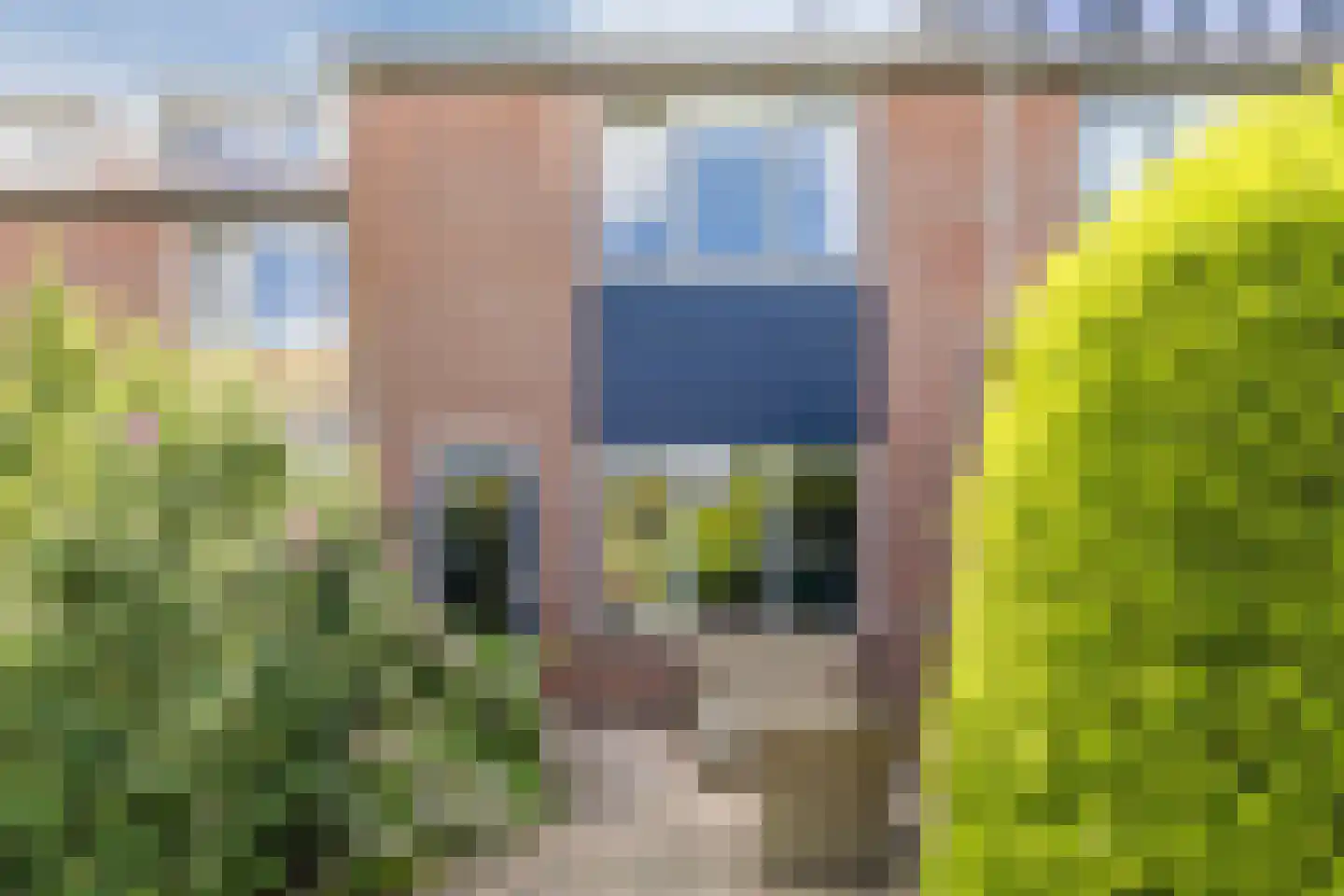 De Omloop 25 Assendelft thumbnail 33