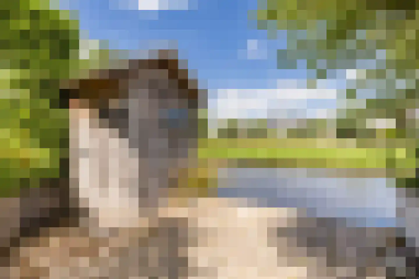 De Omloop 25 Assendelft thumbnail 34