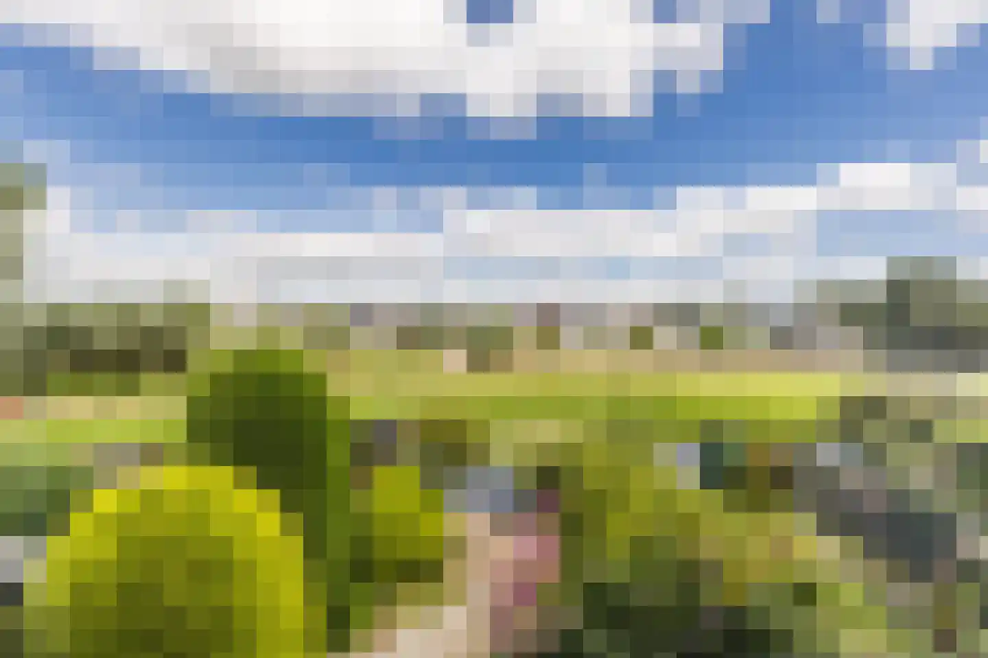 De Omloop 25 Assendelft thumbnail 4