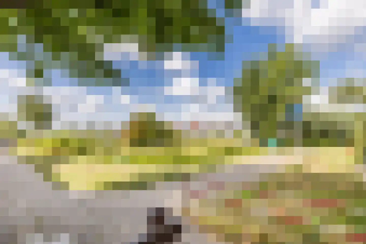 De Omloop 25 Assendelft thumbnail 42