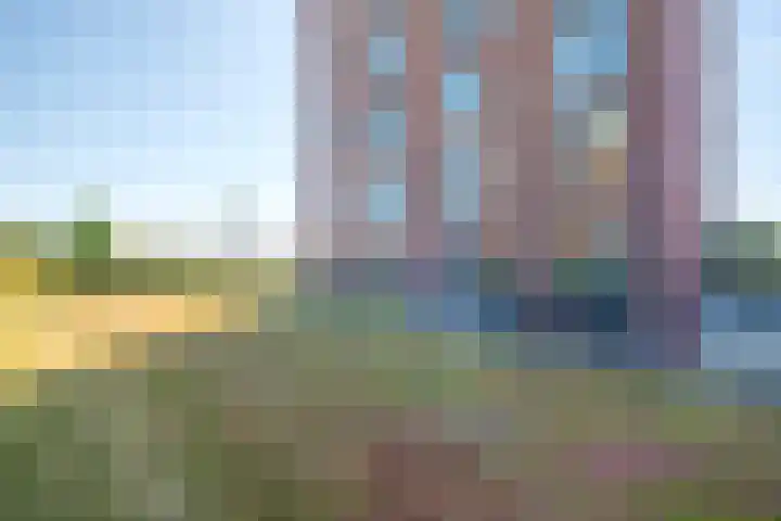 de Omloop 32 Kampen thumbnail 39