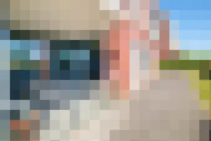 de Omloop 32 Kampen thumbnail 42