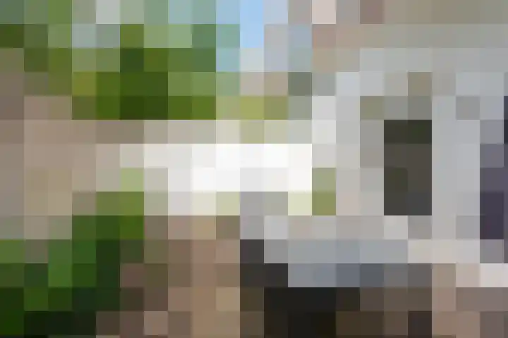 de Omloop 32 Kampen thumbnail 45