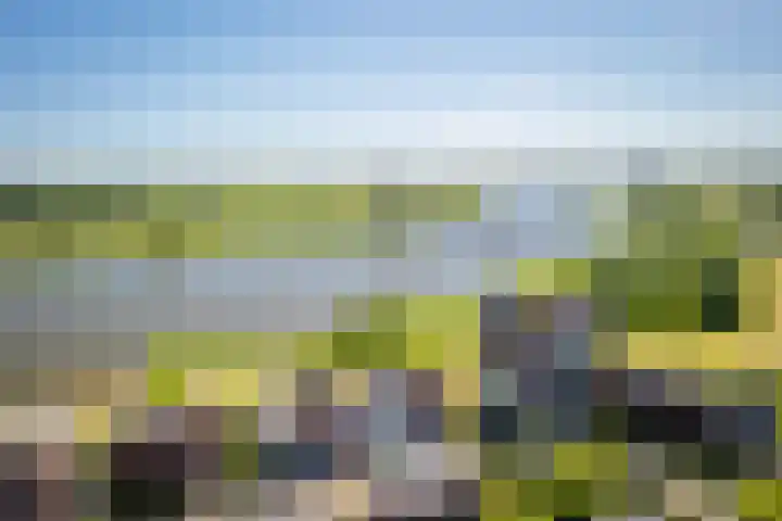 de Omloop 32 Kampen thumbnail 50