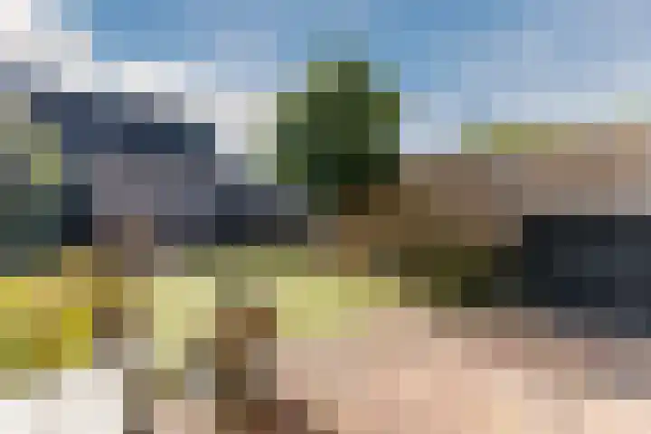 De Omloop 58 Assendelft thumbnail 36