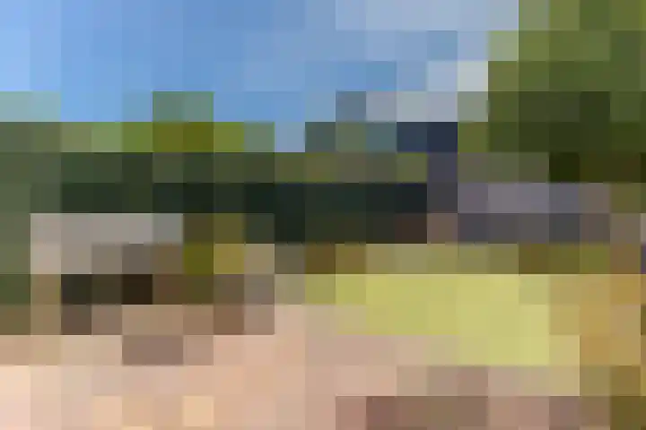 De Omloop 58 Assendelft thumbnail 37