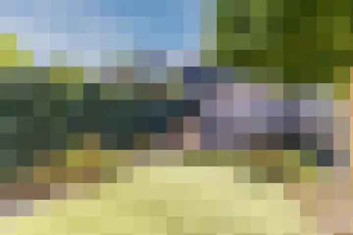 De Omloop 58 Assendelft thumbnail 39