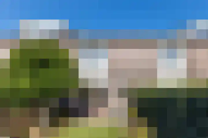 De Omloop 58 Assendelft thumbnail 4