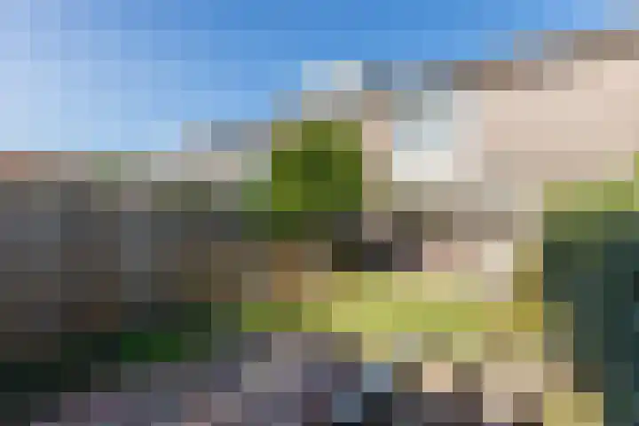 De Omloop 58 Assendelft thumbnail 41
