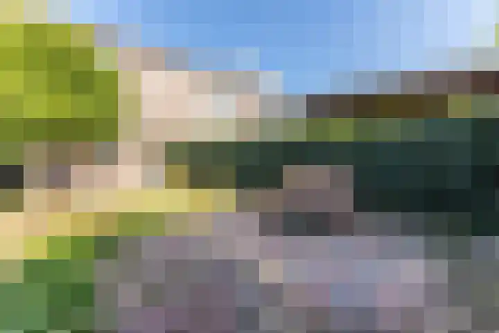 De Omloop 58 Assendelft thumbnail 42