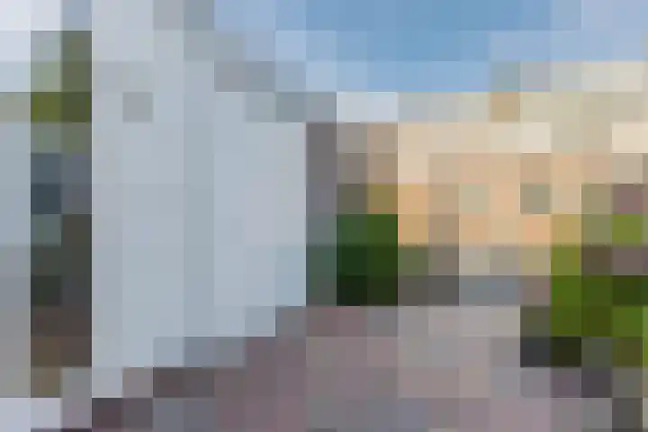 De Omloop 58 Assendelft thumbnail 45