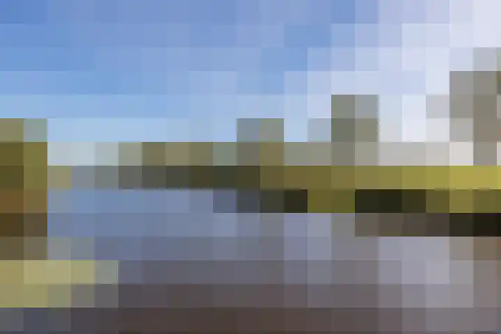 De Omloop 58 Assendelft thumbnail 49