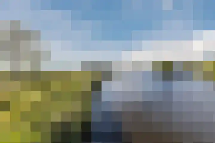 De Omloop 58 Assendelft thumbnail 50