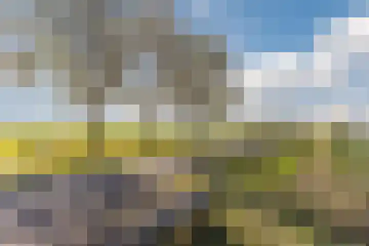 De Omloop 58 Assendelft thumbnail 51