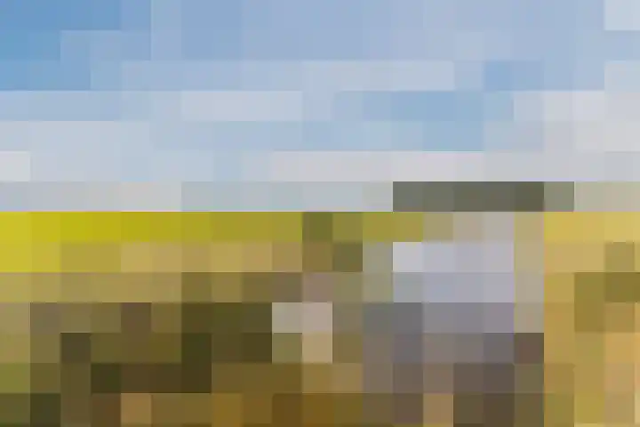De Omloop 58 Assendelft thumbnail 52