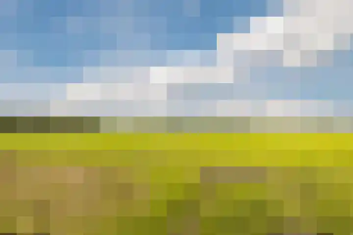 De Omloop 58 Assendelft thumbnail 53