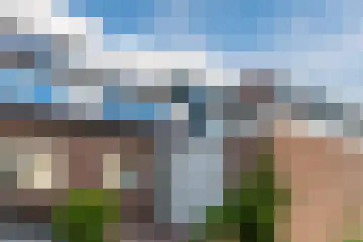 De Omloop 58 Assendelft thumbnail 6
