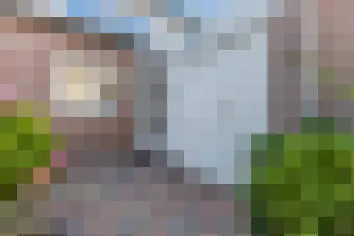 De Omloop 58 Assendelft thumbnail 7