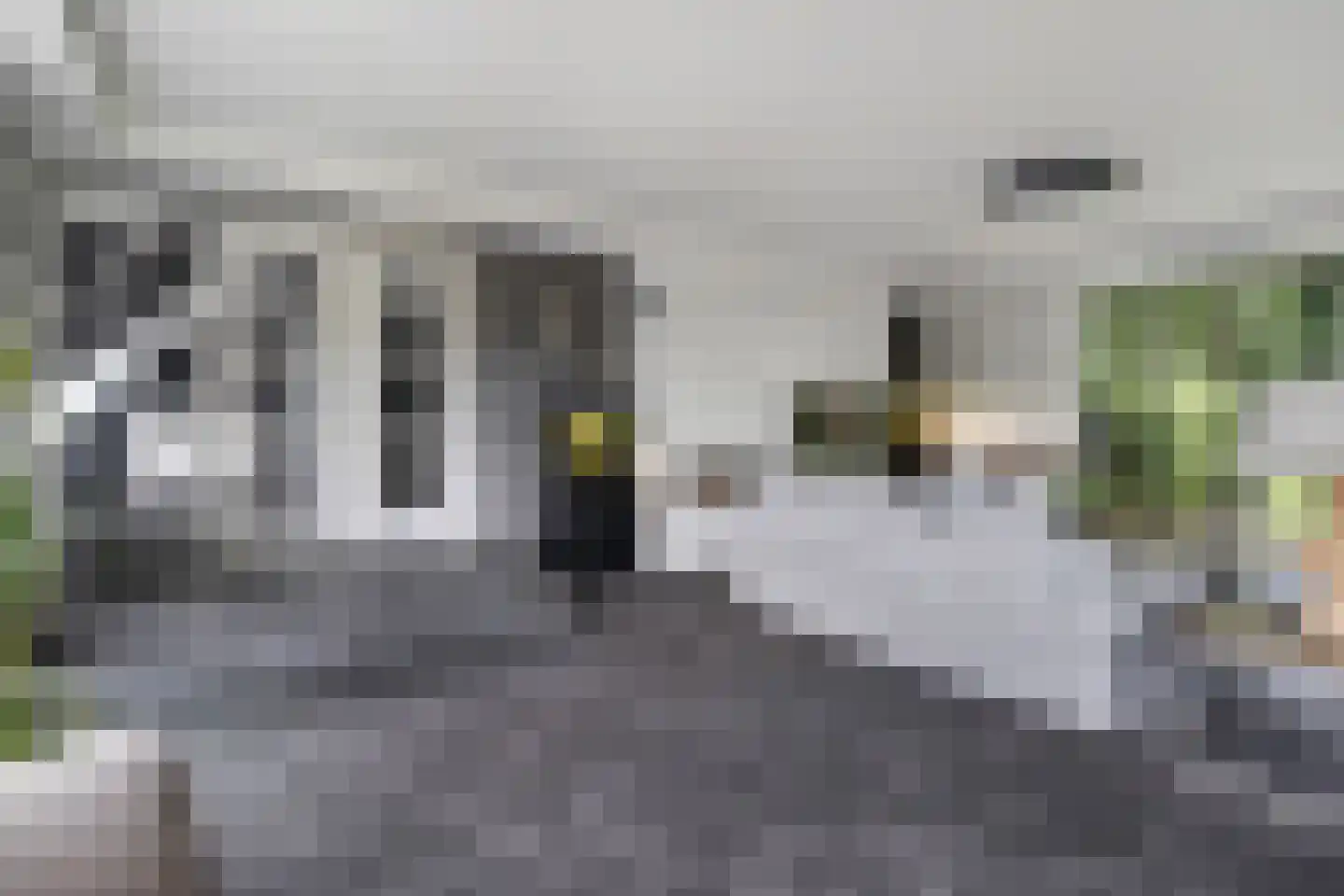 De Omloop 8 Balkbrug thumbnail 26