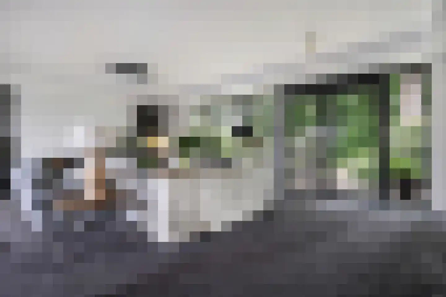 De Omloop 8 Balkbrug thumbnail 32