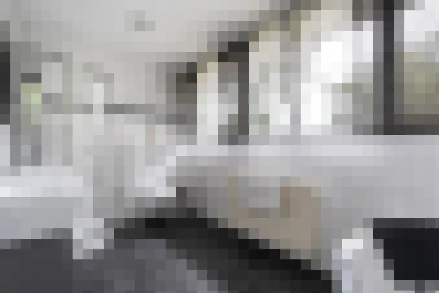 De Omloop 8 Balkbrug thumbnail 44